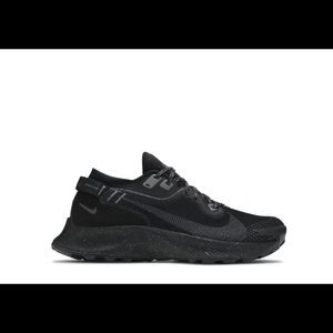 Nike Goretex Pegasus Trail 2